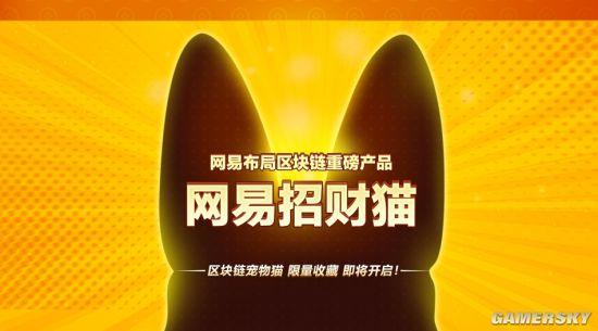 猫说区块链，探索数字世界的崭新维度