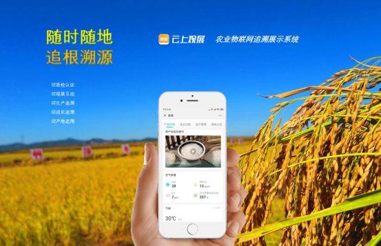 太阳能区块链，重塑能源与技术的未来新纪元