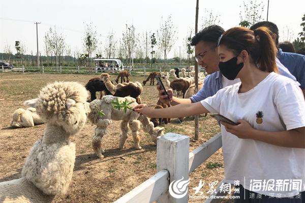 梦幻果园区块链，重塑农业产业的新机遇与挑战