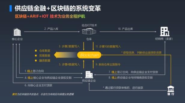 区块链的应用实例，探索前沿技术的真实世界应用