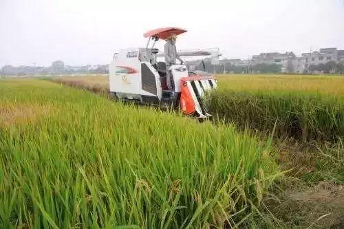虾玩农场区块链，重塑农业生态的未来之路