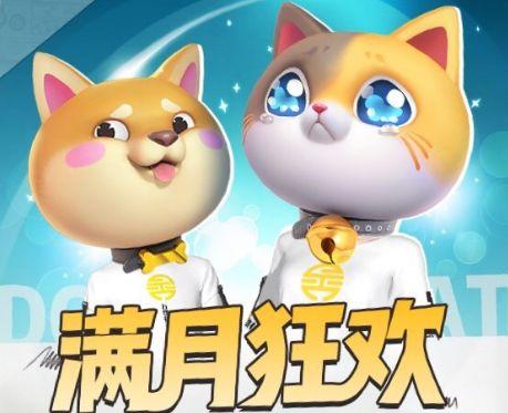 我爱养猫咪与区块链的奇妙世界