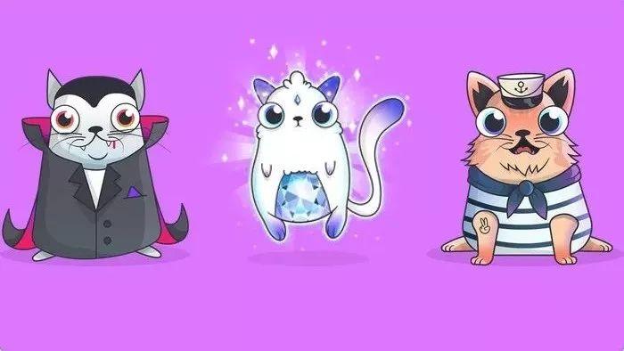 我爱养猫咪与区块链的奇妙世界