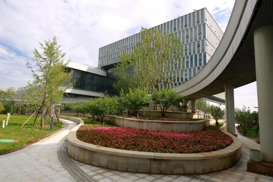 区块链龙头股，引领数字化转型，开启新时代篇章