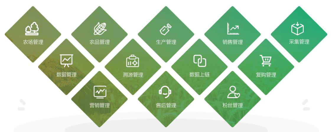 农业板块股票与区块链币，融合与创新的前景展望