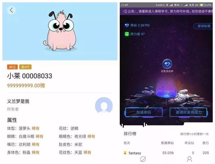 我的开心家园区块链，探索数字时代的理想居住空间