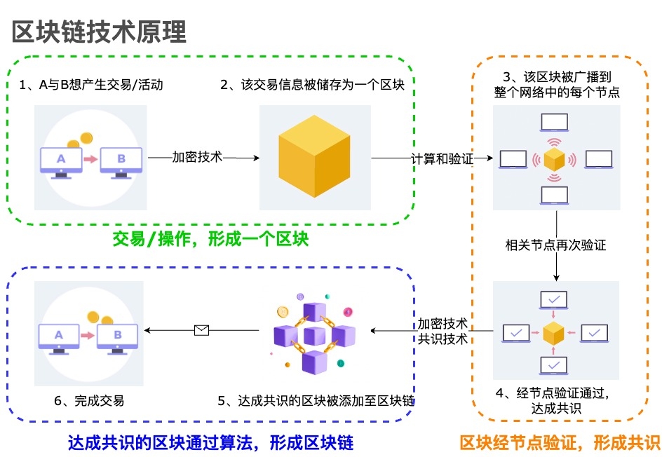 区块链分网链，重塑数字时代的价值传输与信任构建