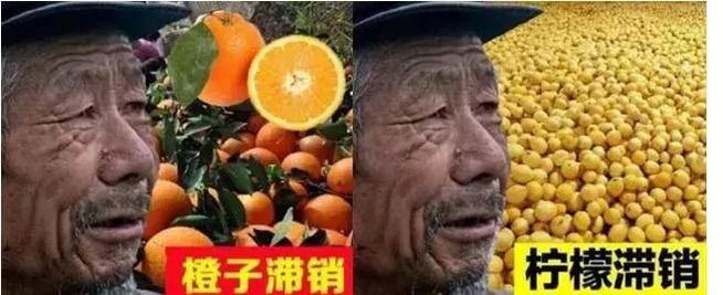 区块链最新区块，重塑技术与应用的未来前景