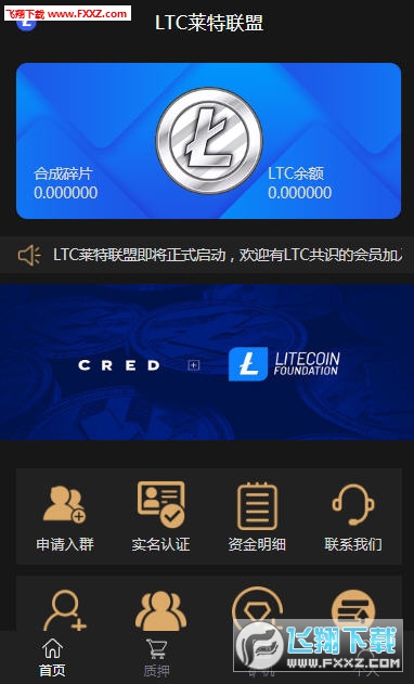 莱特区块链，重塑信任与价值的数字革命先锋