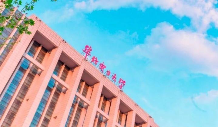 区块链院校，引领未来教育的革新力量