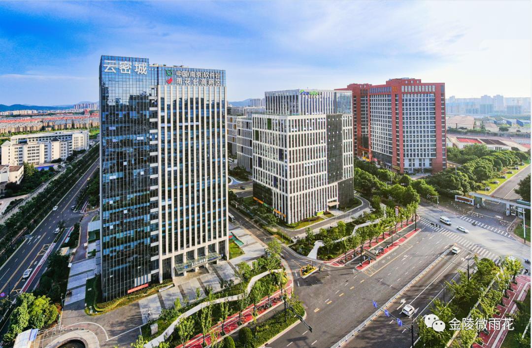 培育区块链，构建未来的数字化基石