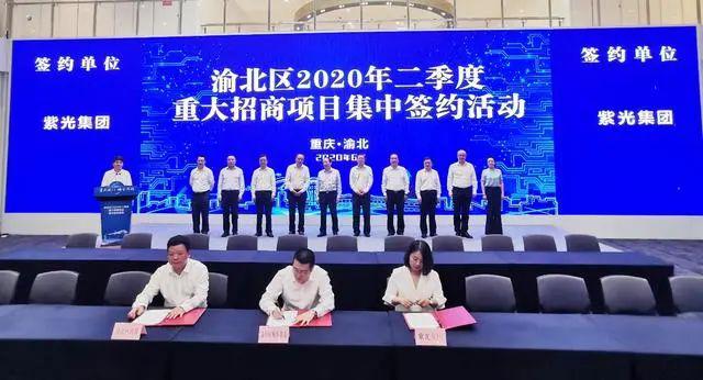 培育区块链，构建未来的数字化基石