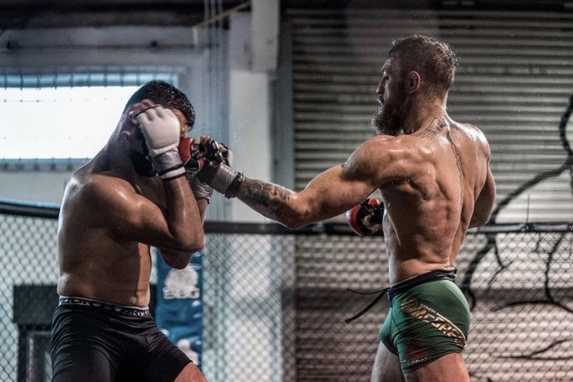 前UFC冠军Conor McGregor提出爱尔兰比特币储备计划，探索数字货币与政界的融合
