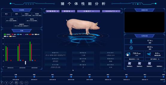 区块链猪，探索智能畜牧与区块链技术的融合之道
